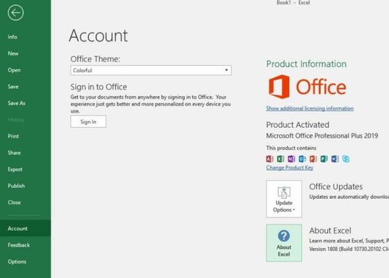 Bindenes PKC Microsoft Office Büro 2019 des Produkt-Schlüssel-FPP Pro plus Schlüssel 2019