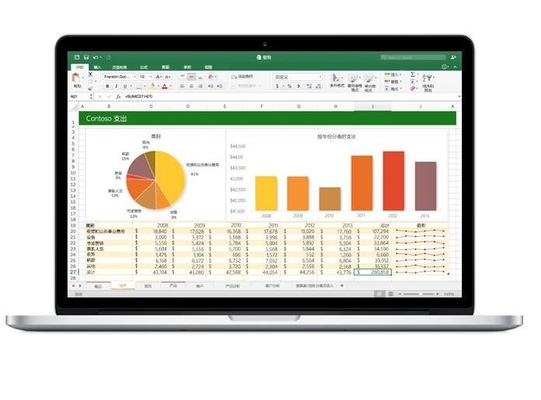 Schnelles Haus u. Geschäft Lieferungs-Microsoft Offices 2021 für Mac License Activation Key