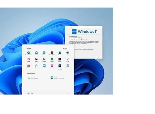 Aktivierungs-Schlüssel Coa-Aufkleber Computer-Windows 11/Proprodukt-Schlüssel des Gewinn-11 für den Desktop