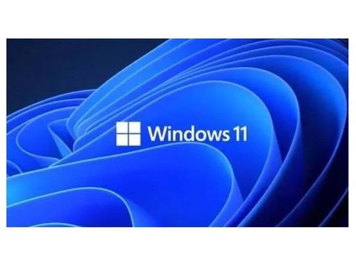 Computer-Windows 10 Procoa-Aufkleber Soem-Schlüsselaufkleber für Laptop