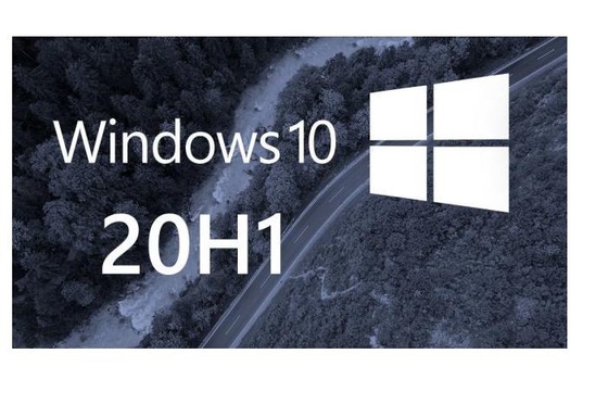 PC Windows 10 Pro-Produkt-Schlüssel Coa-Aufkleber-on-line-Aktivierung